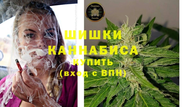 шишки Аркадак