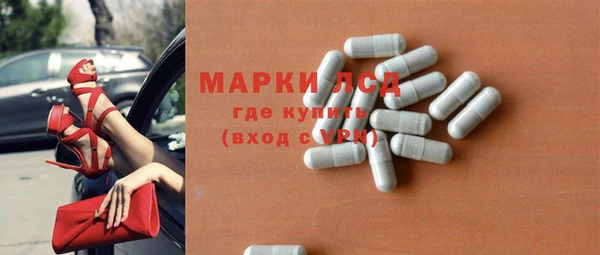 шишки Аркадак