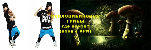 шишки Аркадак