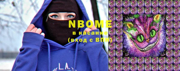 шишки Аркадак