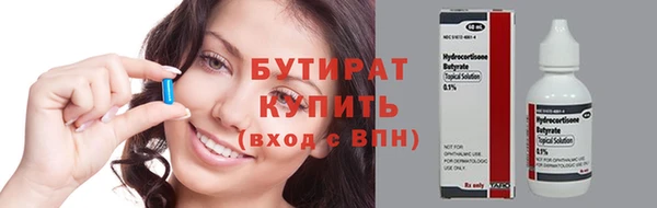 шишки Аркадак