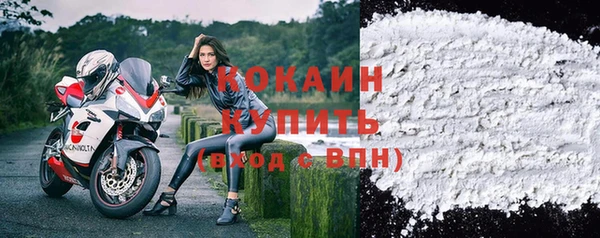 шишки Аркадак