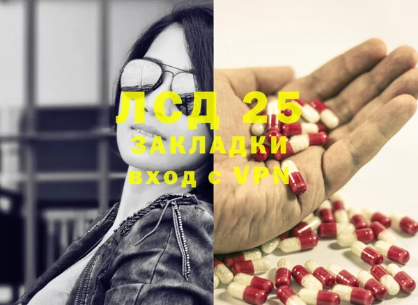 шишки Аркадак