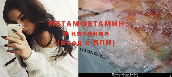 шишки Аркадак