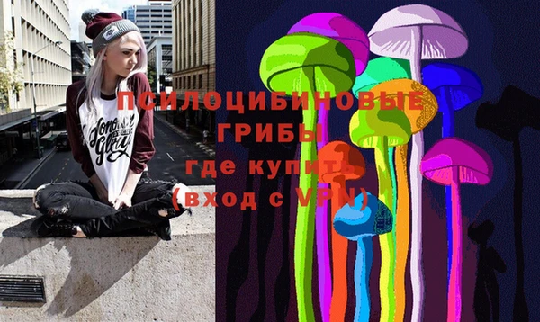 а пвп мука Арсеньев